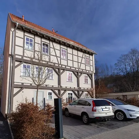 Bachstelze Érfurt