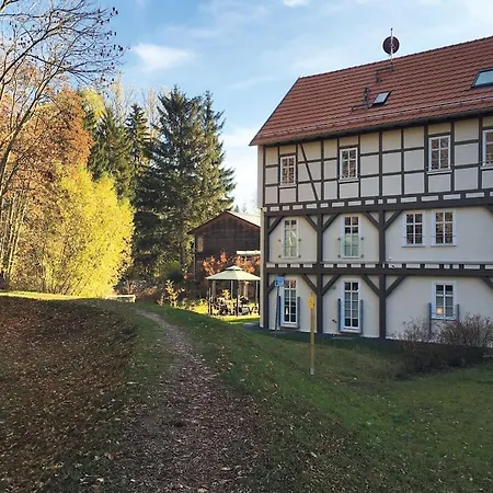 Bachstelze *