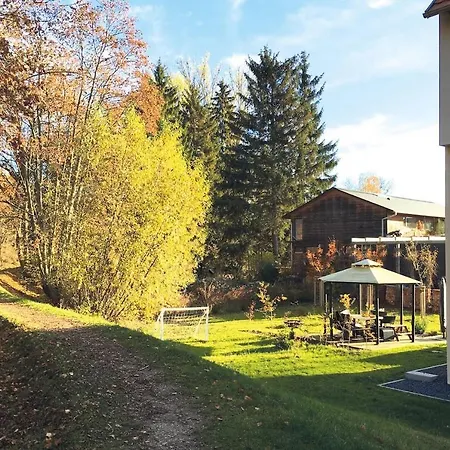 Bachstelze Érfurt